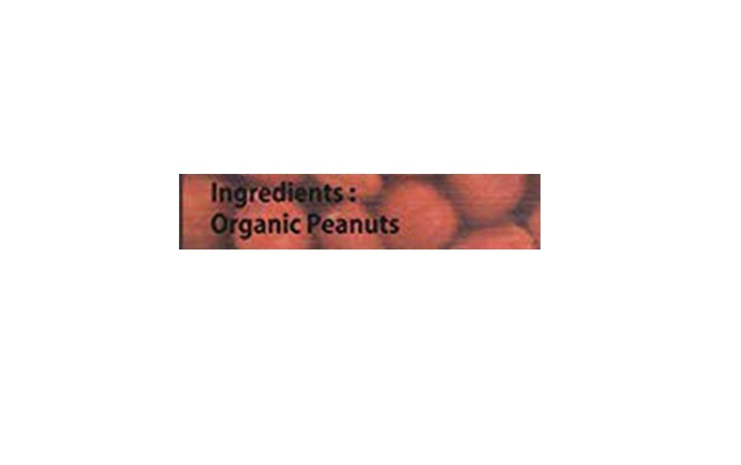 Bytewise Organic Peanut    Pack  500 grams